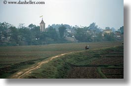 asia, fields, horizontal, landscapes, men, rice, vietnam, photograph