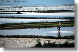 asia, fields, horizontal, landscapes, rice, vietnam, photograph