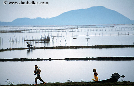 rice-fields-4.jpg