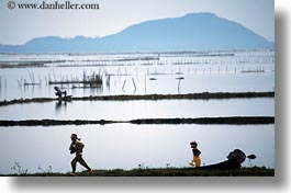 asia, fields, horizontal, landscapes, rice, vietnam, photograph