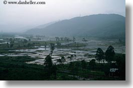 asia, fields, horizontal, landscapes, rice, vietnam, photograph