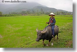 asia, asian, clothes, conical, fields, hats, horizontal, men, people, vietnam, villages, photograph