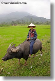 asia, asian, clothes, conical, fields, hats, men, people, vertical, vietnam, villages, photograph