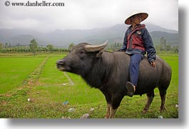 asia, asian, clothes, conical, fields, hats, horizontal, men, people, vietnam, villages, photograph