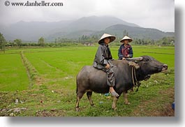 asia, asian, clothes, conical, fields, hats, horizontal, men, people, vietnam, villages, photograph