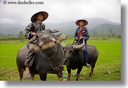 asia, asian, clothes, conical, fields, hats, horizontal, men, people, vietnam, villages, photograph