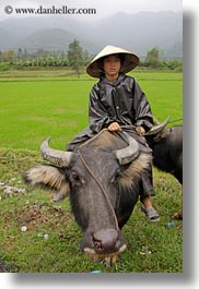 asia, asian, clothes, conical, fields, hats, men, people, vertical, vietnam, villages, photograph
