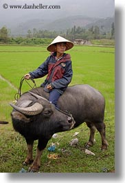 asia, asian, clothes, conical, fields, hats, men, people, vertical, vietnam, villages, photograph