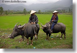 asia, asian, clothes, conical, fields, hats, horizontal, men, people, vietnam, villages, photograph