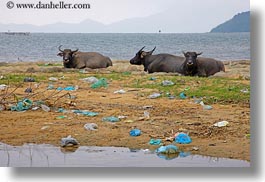 asia, horizontal, trash, vietnam, villages, photograph