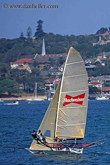 budweiser-sailboat.jpg