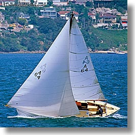australia, boats, nature, ocean, sailboats, square format, sydney, transportation, water, photograph