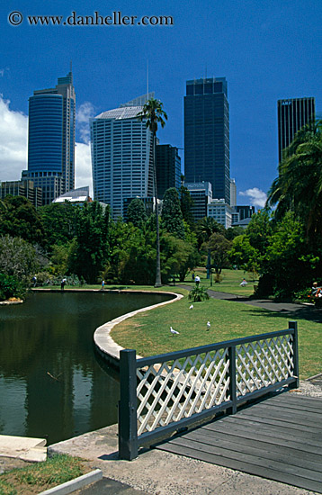 park-pond-n-cityscape.jpg