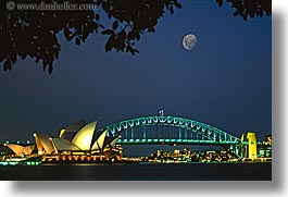 australia, branches, bridge, harbor bridge, horizontal, moon, nature, nite, opera house, plants, sky, structures, sydney, trees, photograph