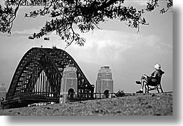 australia, black and white, branches, bridge, dans, harbor bridge, horizontal, men, nature, people, plants, structures, sydney, trees, photograph