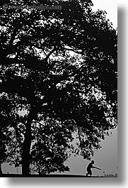 australia, black and white, boys, childrens, nature, people, plants, shade tree, silhouettes, sydney, trees, vertical, photograph