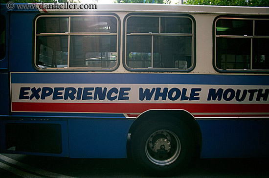 experience-whole-mouth-bus-sign.jpg