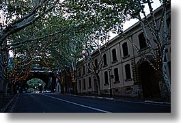 australia, horizontal, lights, nature, plants, shade tree, streets, sydney, trees, photograph