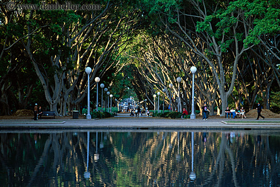 tree-tunnel-w-lamp_posts-04.jpg