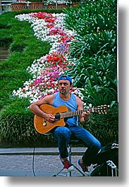 australia, flowers, guitars, instruments, men, music, musicians, nature, people, players, sydney, vertical, photograph