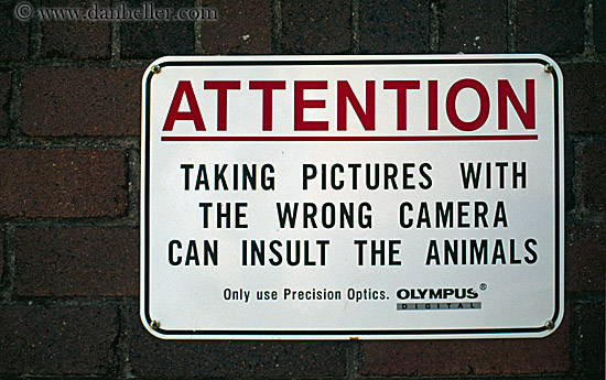 funny-camera-sign.jpg