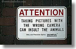 australia, cameras, horizontal, humor, signs, sydney, taronga zoo, photograph
