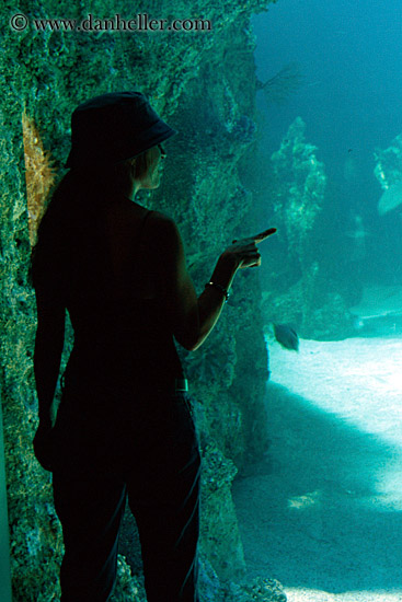 jil-silhouette-aquarium-3.jpg