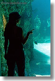 aquarium, australia, jil, people, silhouettes, structures, sydney, taronga zoo, vertical, womens, photograph