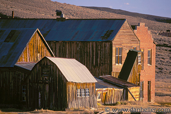 bodie07.jpg