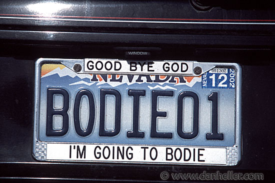 bodie-license.jpg