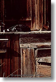 antiques, bodie, california, cats, ghost town, nap, state park, vertical, west coast, western usa, winter, photograph