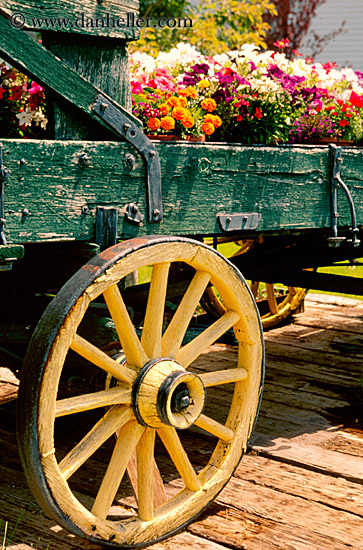 stage-coach-wheels-n-flowers-1.jpg