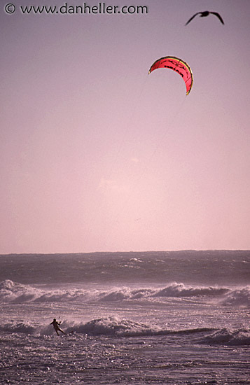 para-surfer-1.jpg