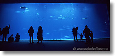 aquarium, cal coast, california, california coast, horizontal, monterey, panoramic, people, west coast, western usa, photograph