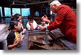 aquarium, cal coast, california, california coast, childrens, horizontal, learning, monterey, west coast, western usa, photograph