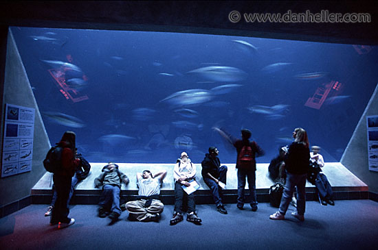 students-aquarium.jpg
