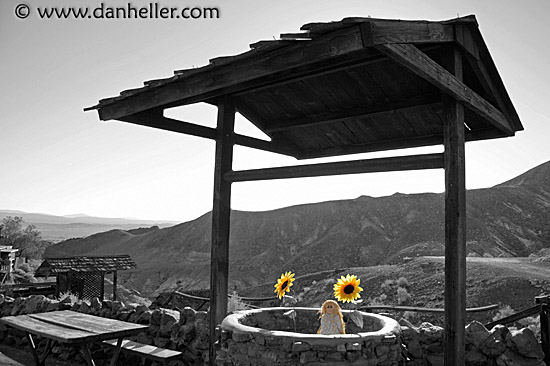 sunflower-well-2.jpg