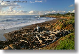beaches, branches, california, cambria, dead, horizontal, west coast, western usa, photograph