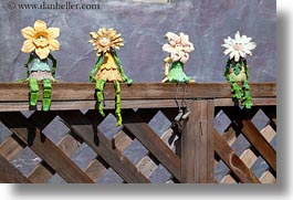 california, cambria, flowers, horizontal, sitting, west coast, western usa, photograph