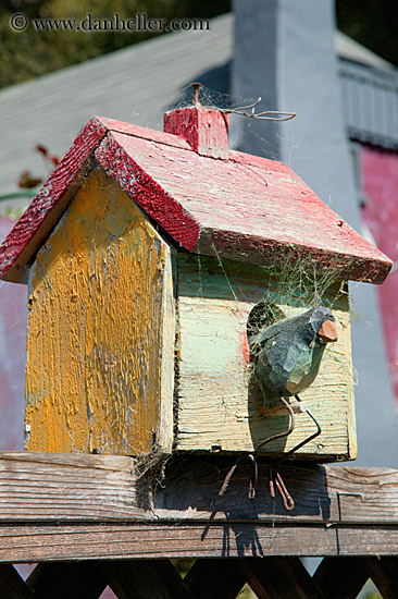 webbed-bird-house.jpg