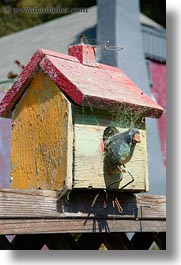 birds, california, cambria, houses, vertical, webbed, west coast, western usa, photograph