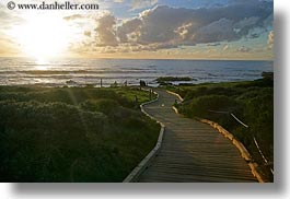 california, cambria, horizontal, ocean, paths, planks, west coast, western usa, woods, photograph