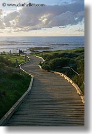 california, cambria, ocean, paths, planks, vertical, west coast, western usa, woods, photograph