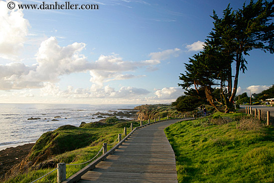 wood-plank-path-to-ocean-4.jpg