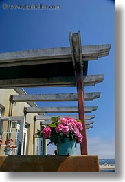 awnings, california, capitola, flowers, vertical, west coast, western usa, photograph