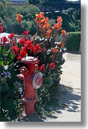 california, capitola, fire, flowers, hydrant, vertical, west coast, western usa, photograph