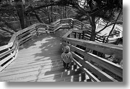 black and white, california, carmel, horizontal, jacks, stairs, west coast, western usa, photograph