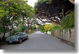 california, carmel, cars, horizontal, trees, tunnel, west coast, western usa, photograph