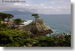 california, carmel, cypress, horizontal, lone, trees, west coast, western usa, photograph