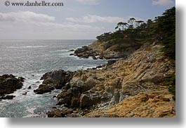 california, carmel, coastline, horizontal, rockies, trees, west coast, western usa, photograph